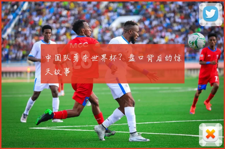 中国队勇夺世界杯?盘口背后的惊天故事