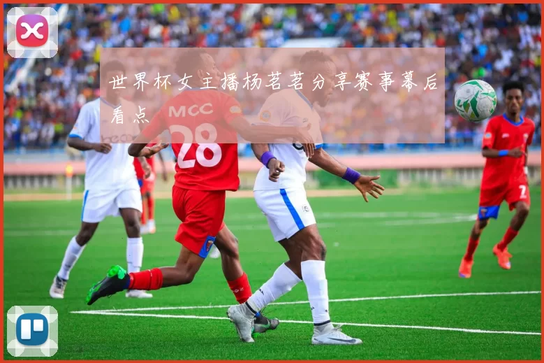 世界杯女主播杨茗茗分享赛事幕后看点