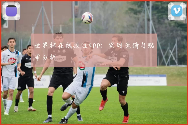 世界杯在线投注app:实时竞猜与赔率分析