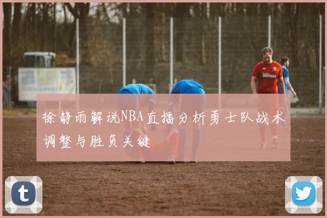 徐静雨解说NBA直播分析勇士队战术调整与胜负关键
