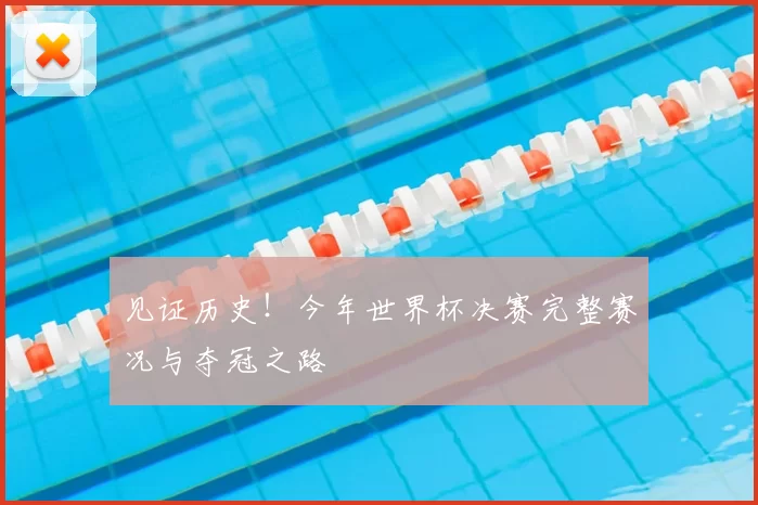 见证历史!今年世界杯决赛完整赛况与夺冠之路