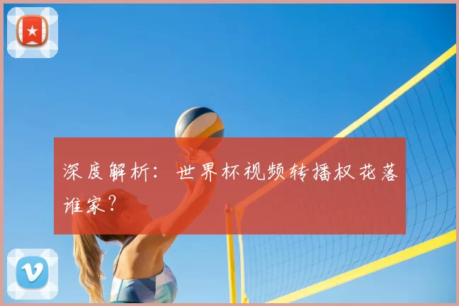 深度解析:世界杯视频转播权花落谁家?