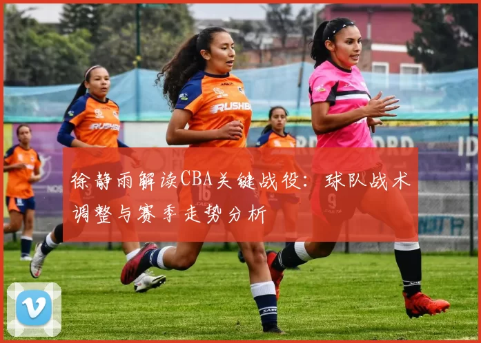 徐静雨解读CBA关键战役：球队战术调整与赛季走势分析