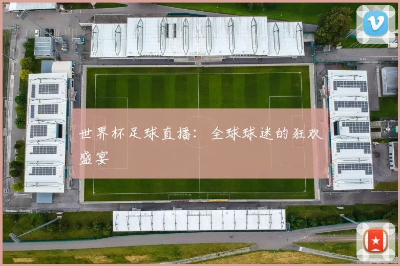 世界杯足球直播：全球球迷的狂欢盛宴