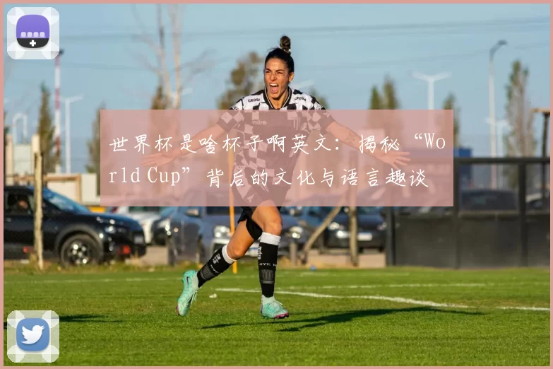 世界杯是啥杯子啊英文:揭秘“World Cup”背后的文化与语言趣谈