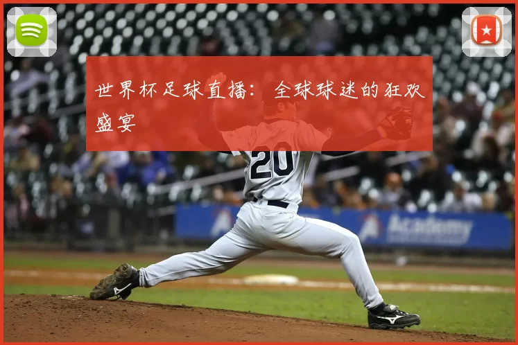 世界杯足球直播：全球球迷的狂欢盛宴